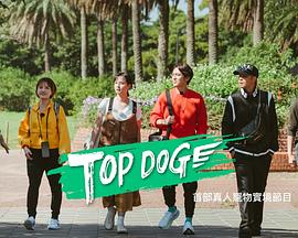 色控传媒《TOP DOG》免费在线观看
