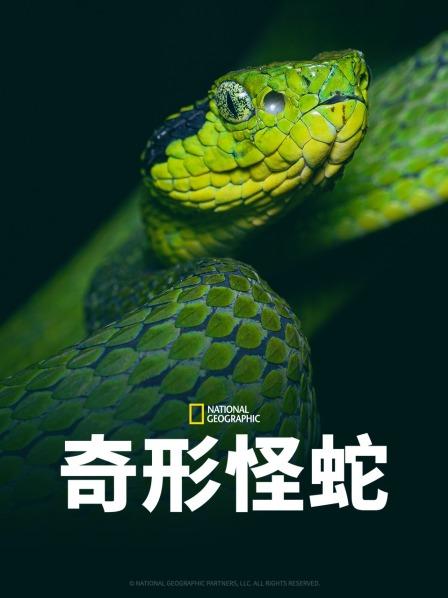 色欲王朝《奇形怪蛇》免费在线观看